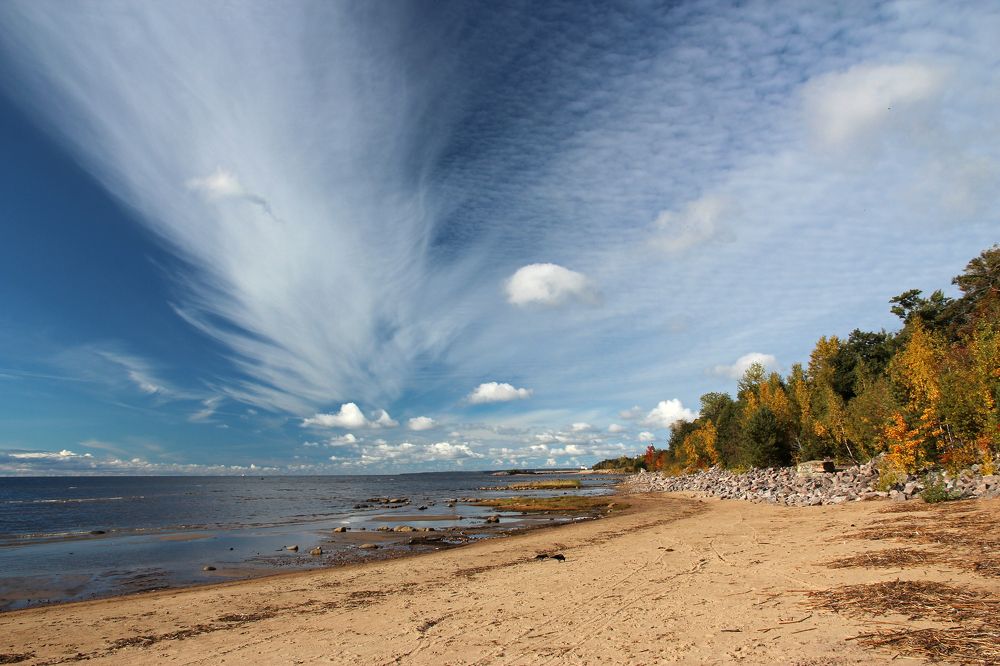 Перо волшебной птицы