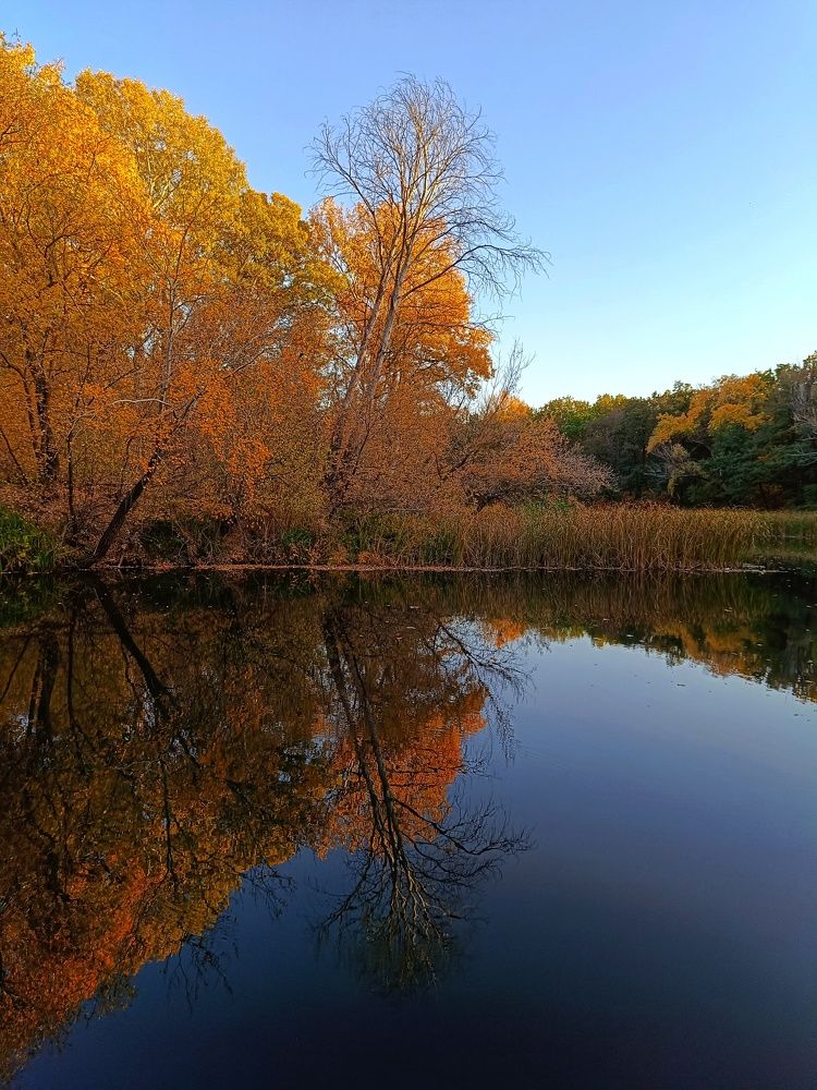 Фотография автора Светлана Анатольевна Чернышова