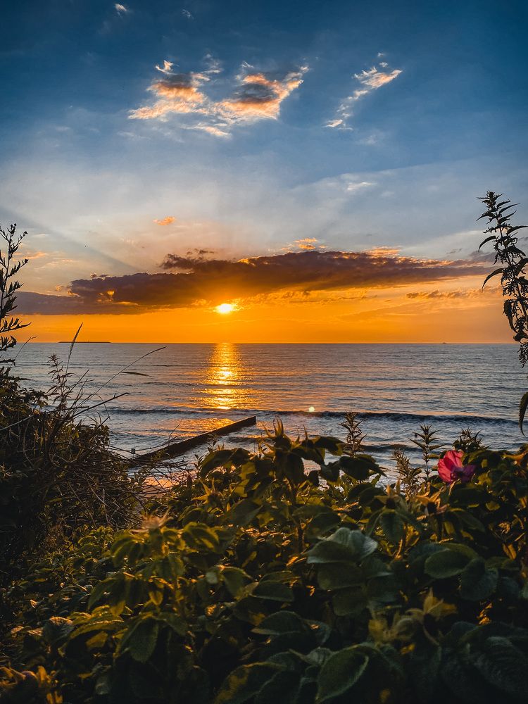 Photograph by Дарья Андреева