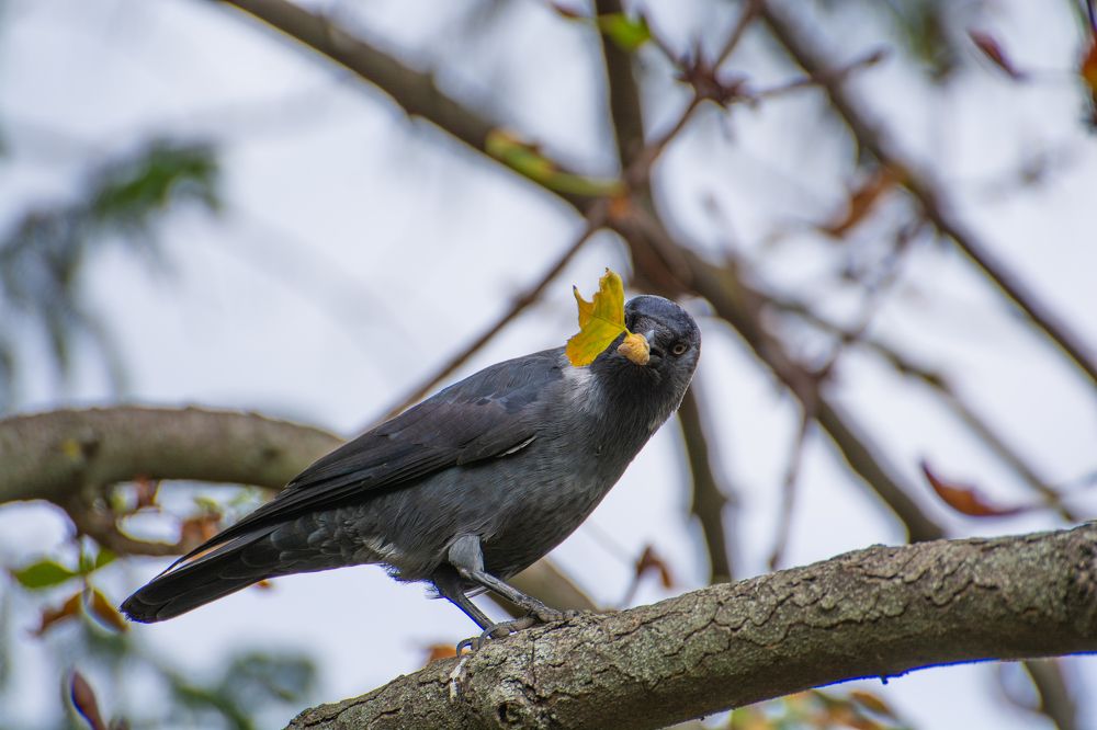 Photograph by Кристина Дегтярёва