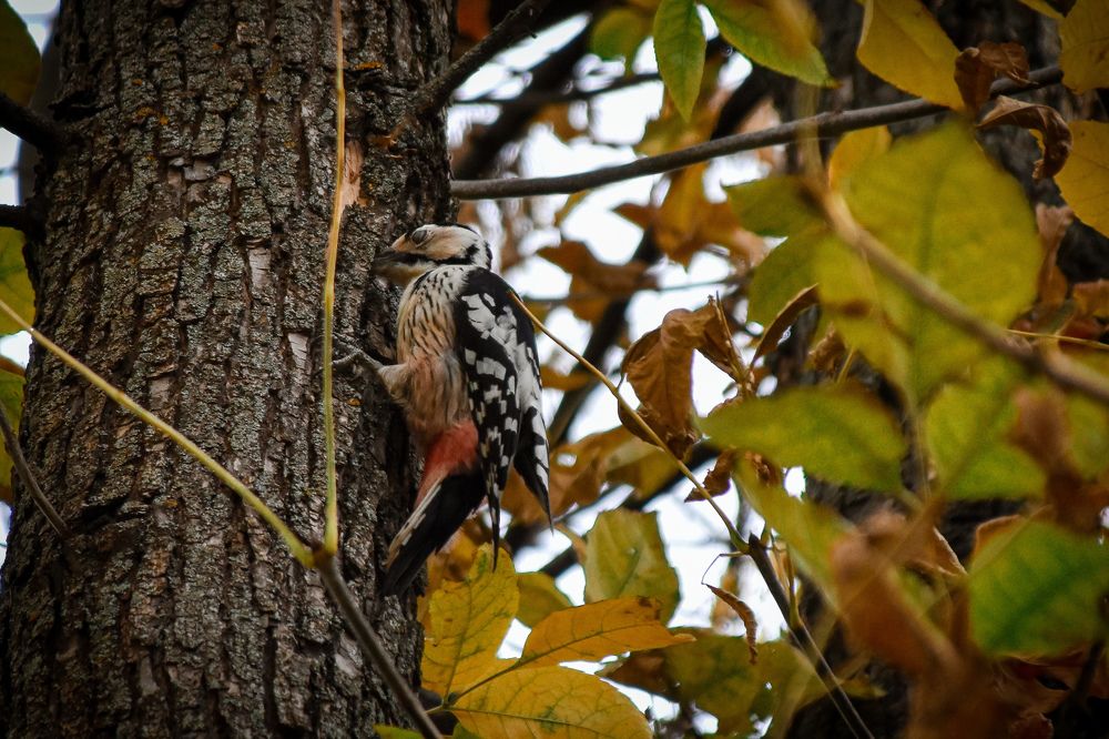 Photograph by Elvira