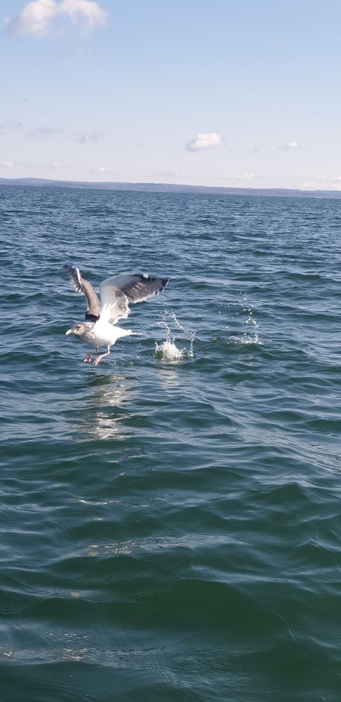 Photograph by Денис Заславский