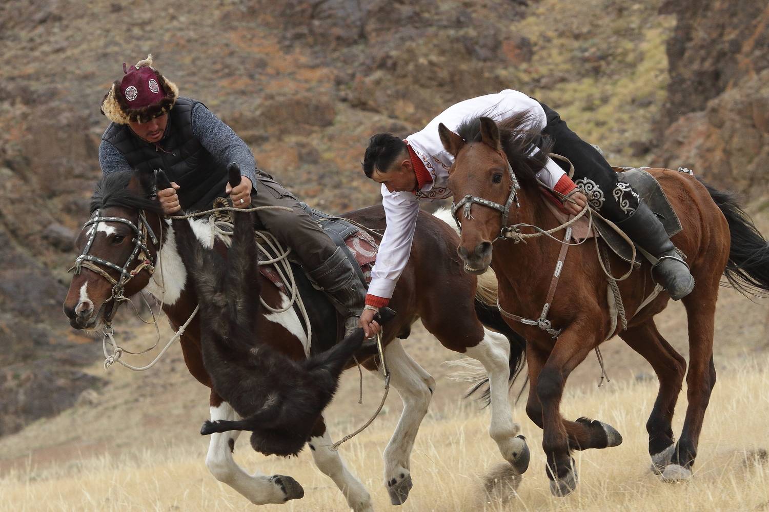 Photo #11139914