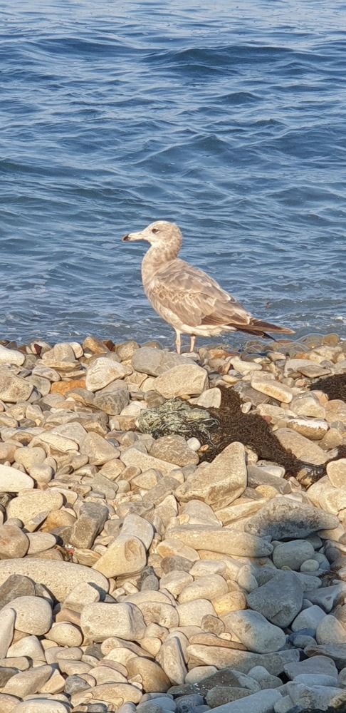 Photograph by Денис Заславский