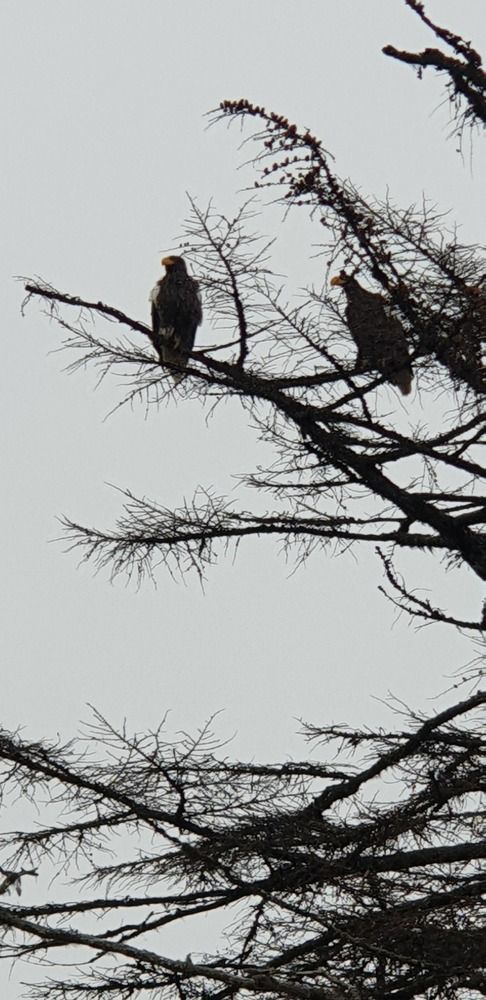 Photograph by Денис Заславский