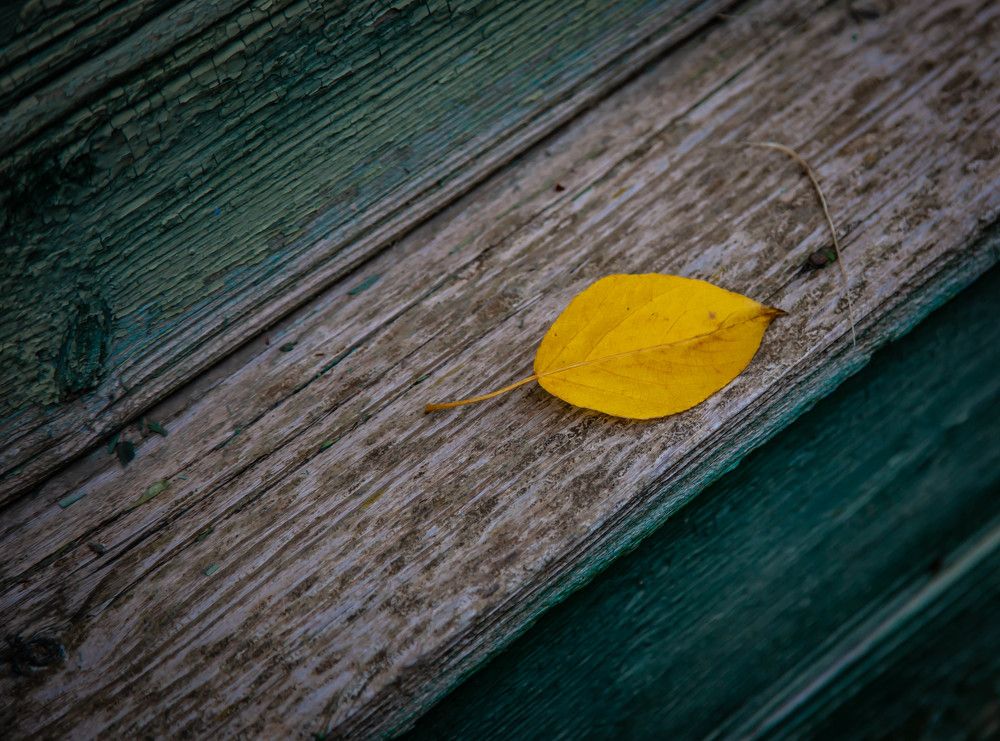 Photograph by Ольга Сафронова