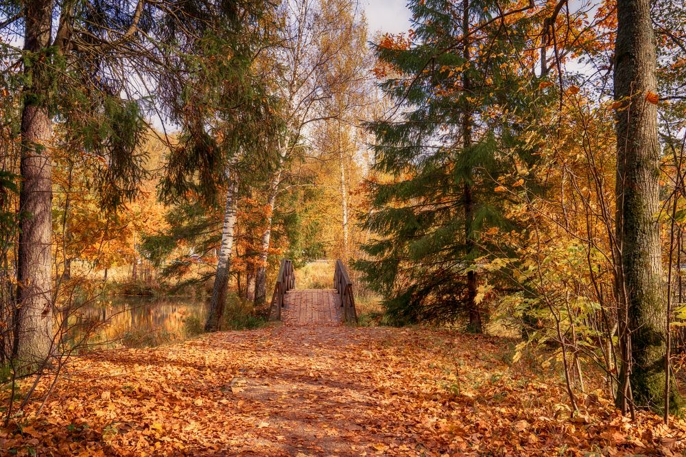 Photograph by Андрей Пучков