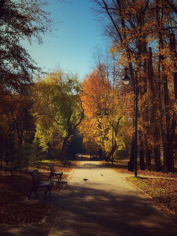Фотография автора Анастасия Огурцова