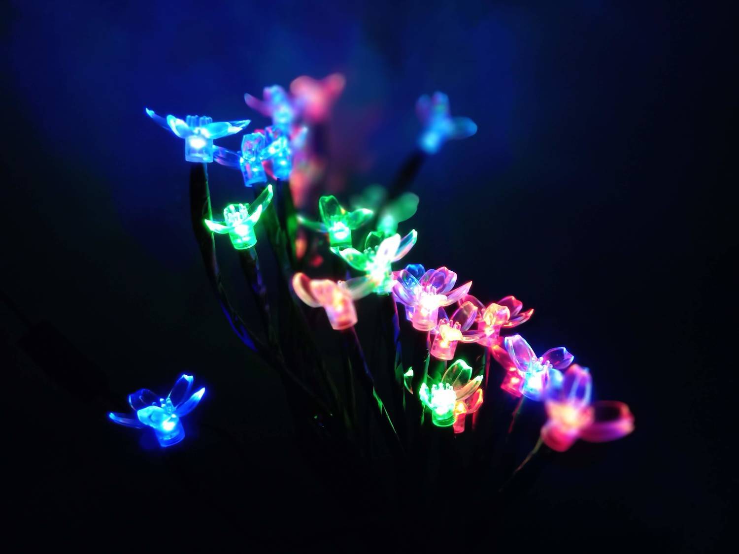 Photo #11139989