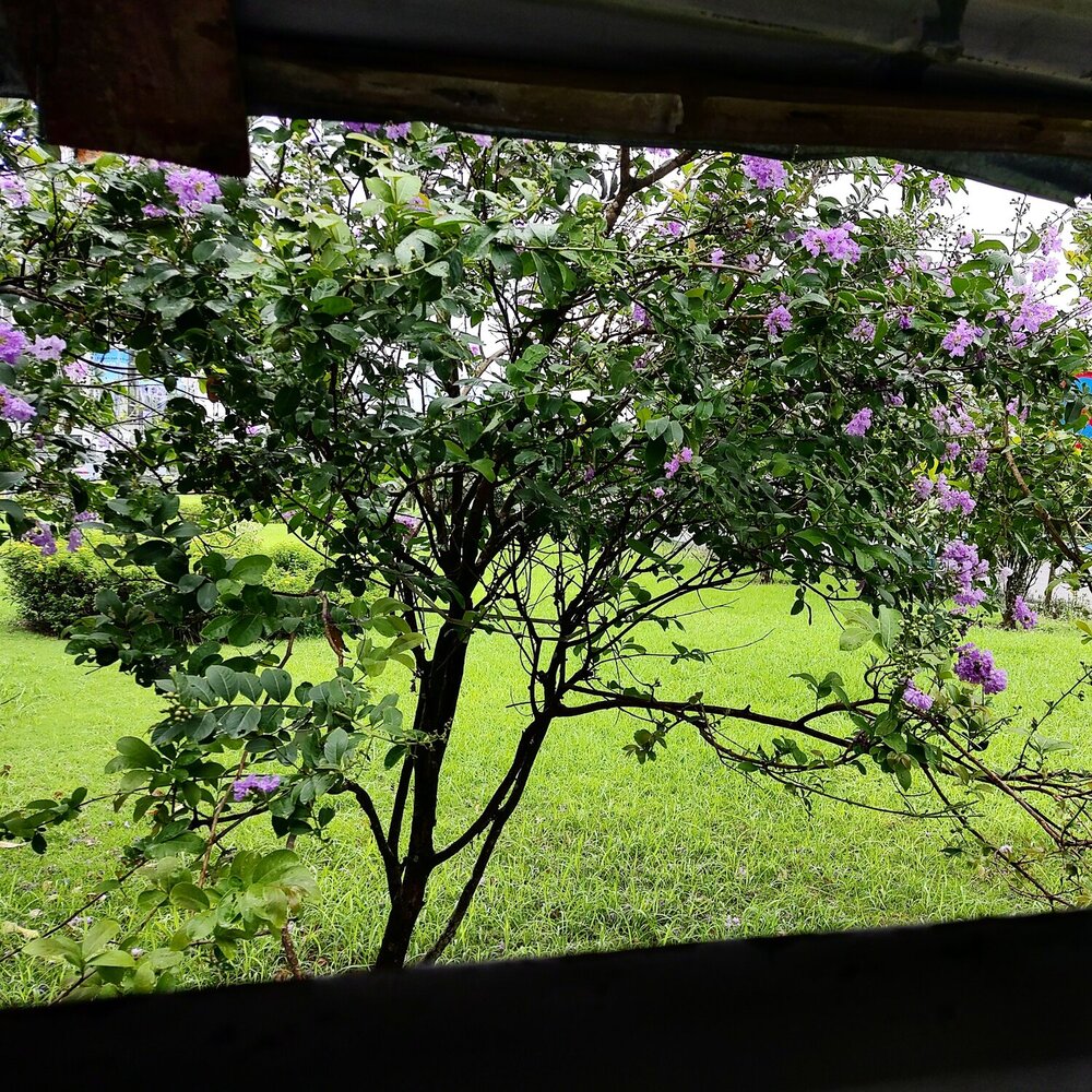 Photograph by Ravi Kumar