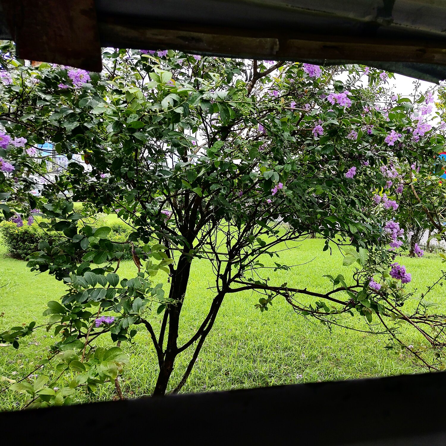 Photo #11139991