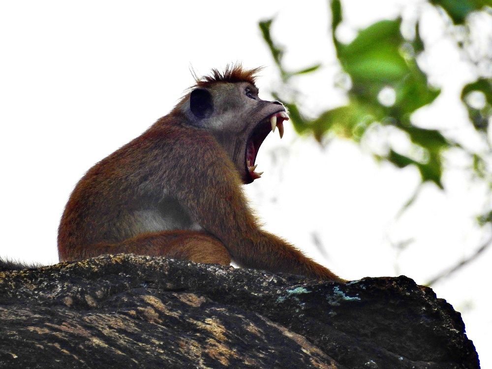 Photograph by Дмитрий Юдин