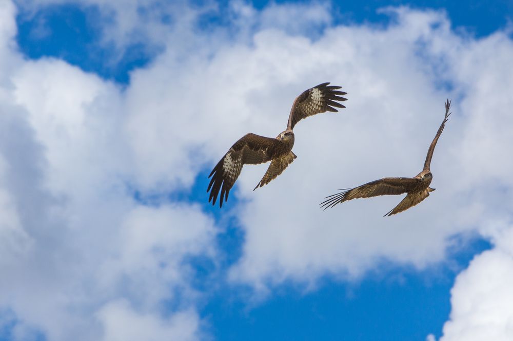 Photograph by Михаил