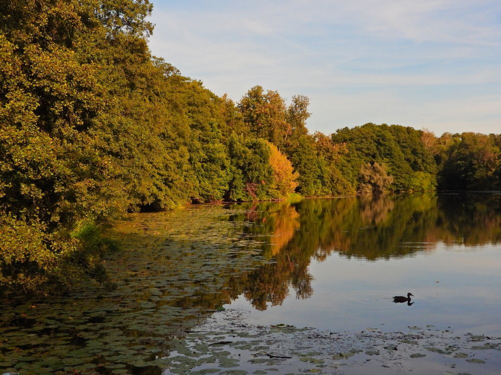 Photograph by Дмитрий Юдин