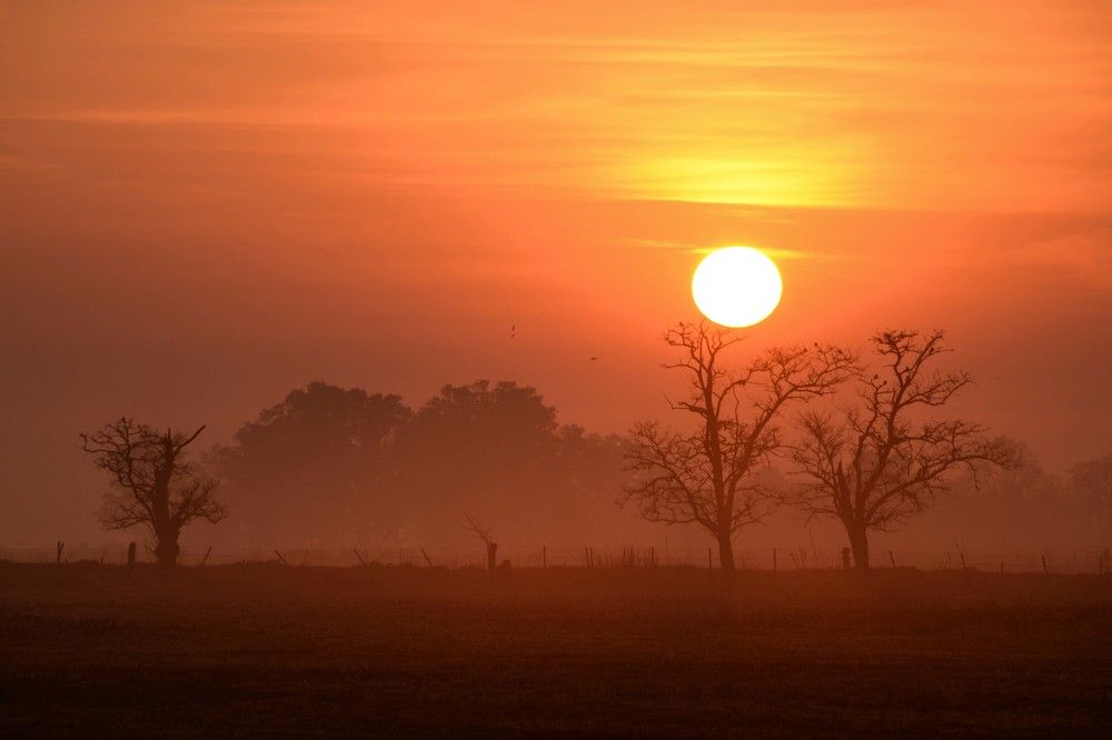 Photograph by Ricardo Kimmich