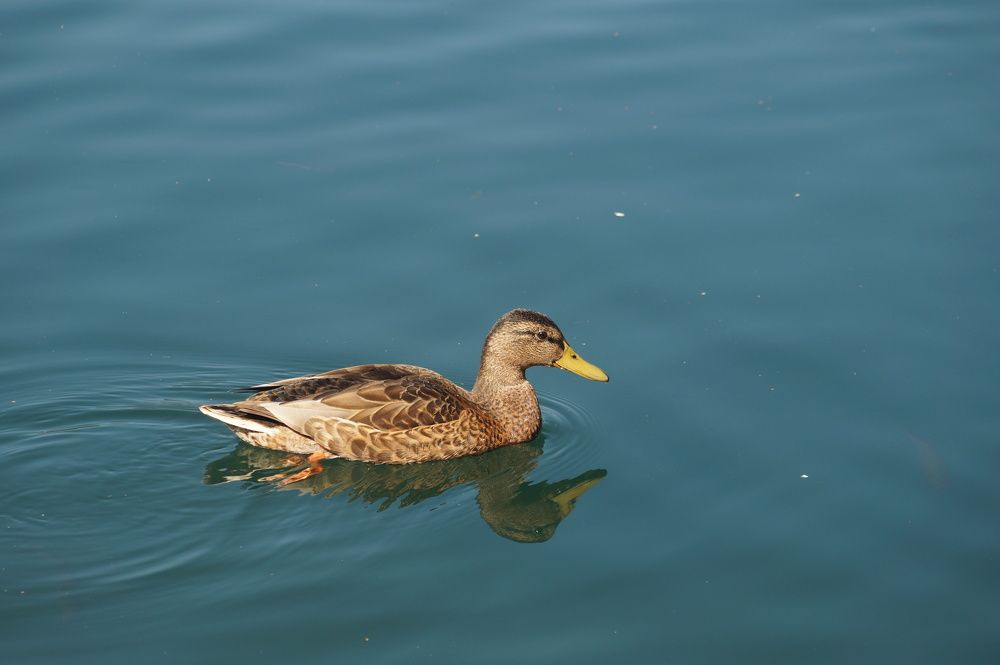 Photograph by Вадим2106