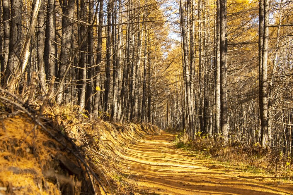 Photograph by Дмитрий Юдин