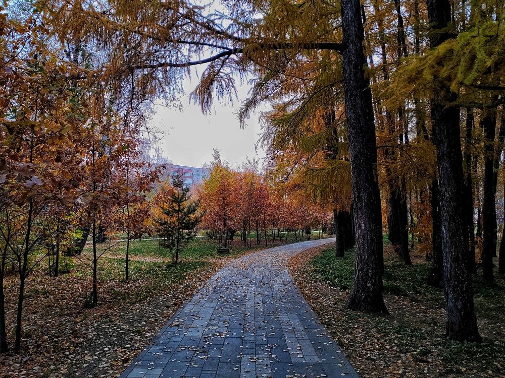 Photograph by Наталья Веряскина