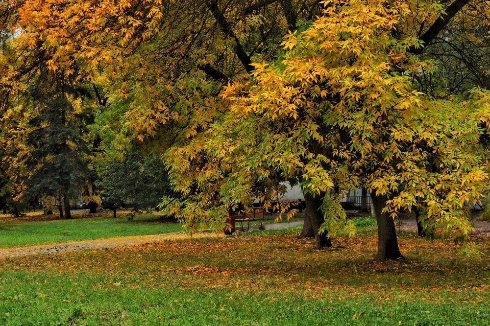 Photograph by Анна