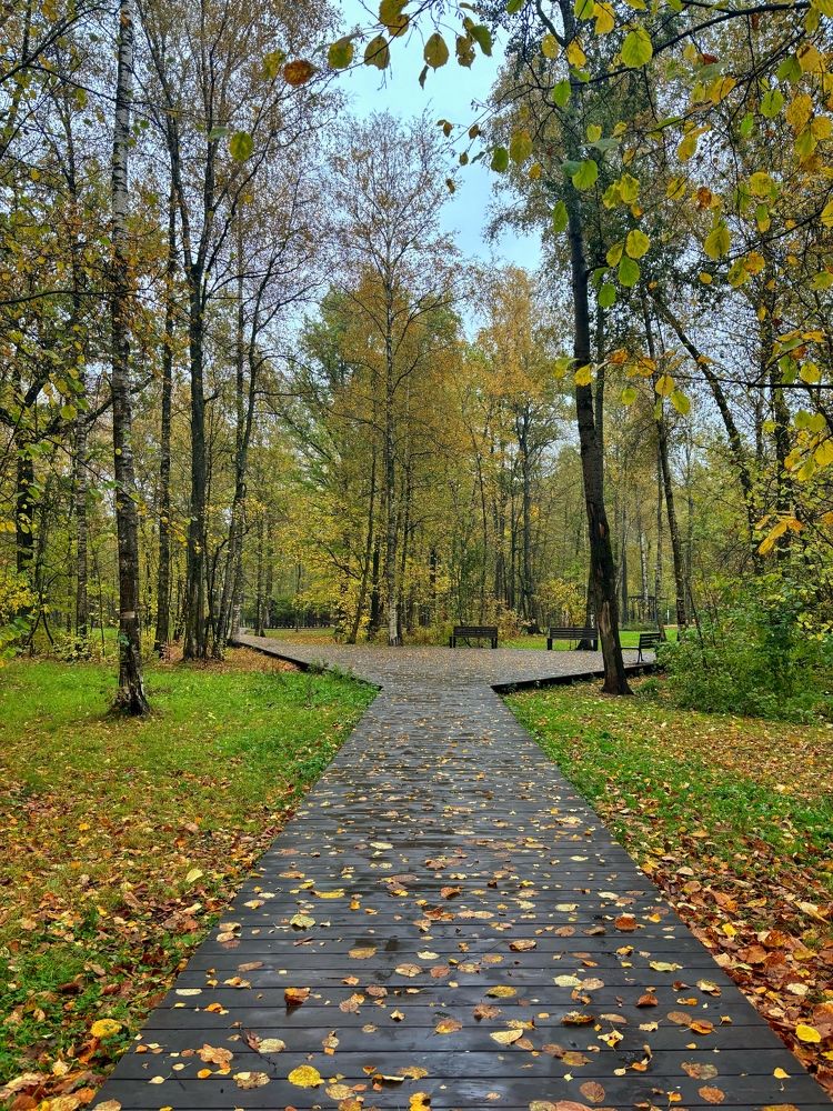 Photograph by Екатерина Стрельцова