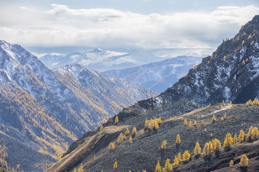 Photograph by Сергей Шерстнев