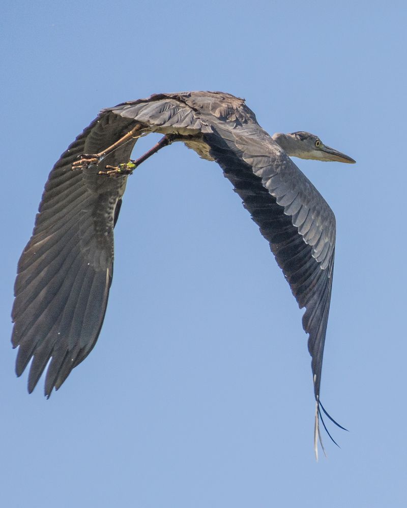 Photograph by Ирина