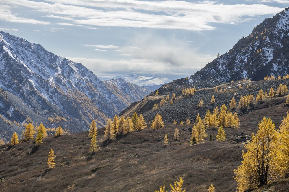 Photograph by Сергей Шерстнев