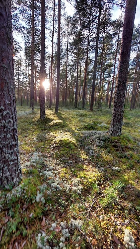 Фотография автора Максим Егоров