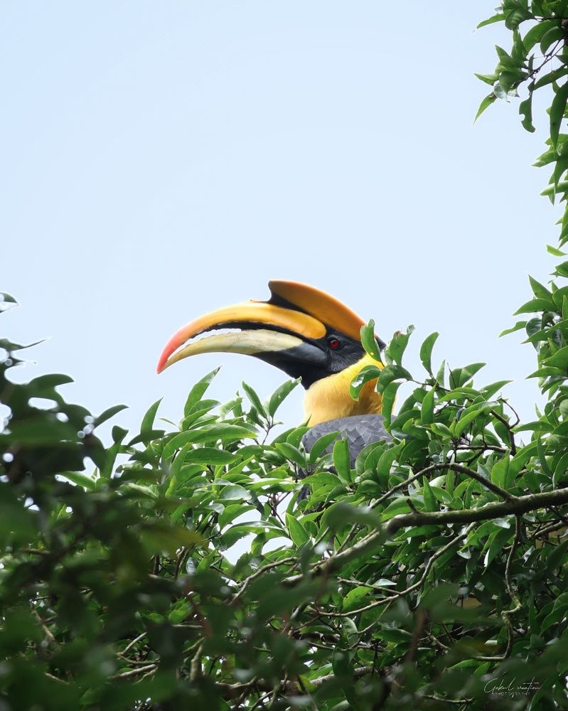 Фотография автора Gokul K. U