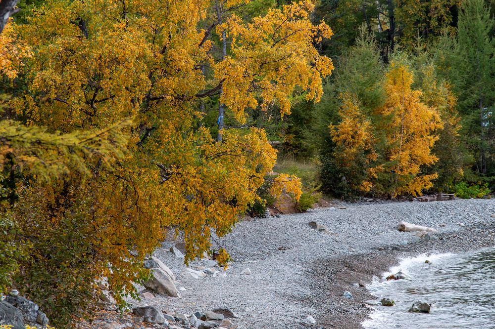 Photograph by Геннадий Лосев