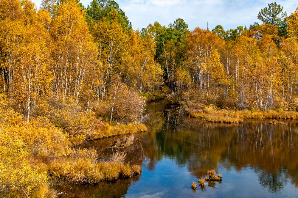 Photograph by Геннадий Лосев