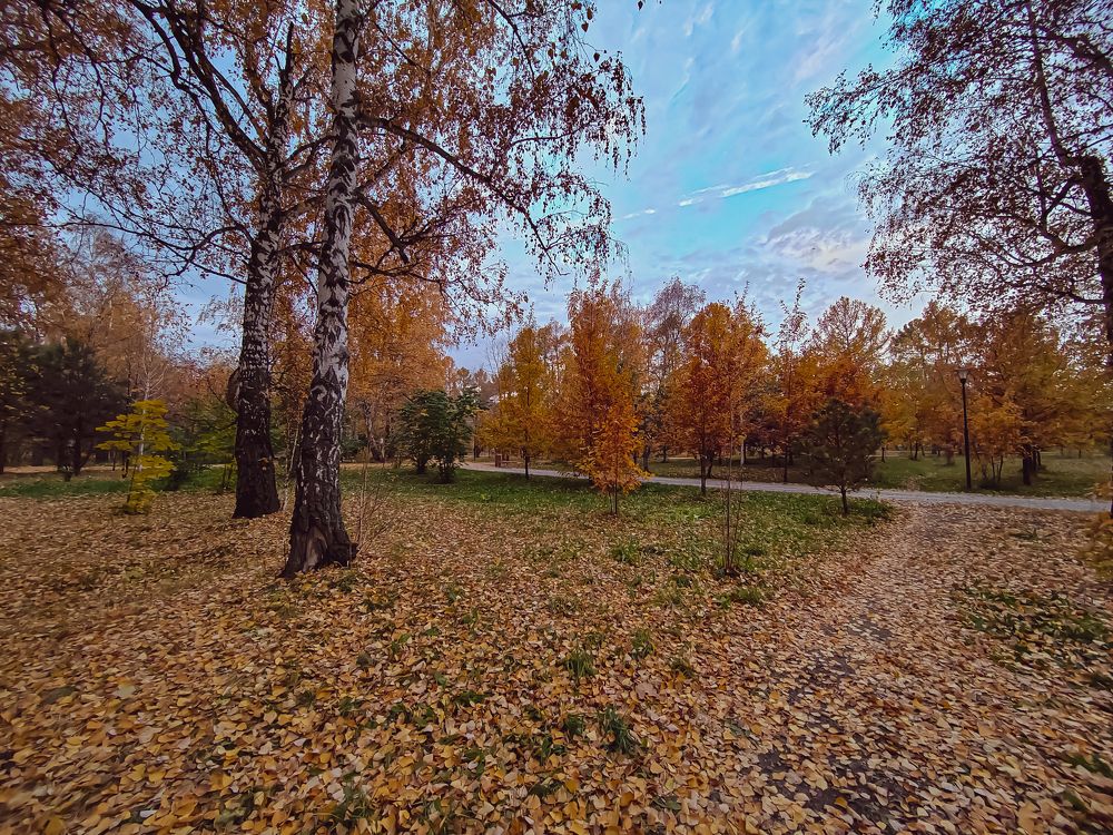 Photograph by Наталья Веряскина