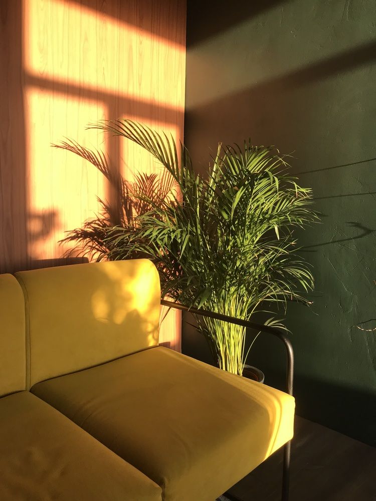 Photograph by Диана Янковская