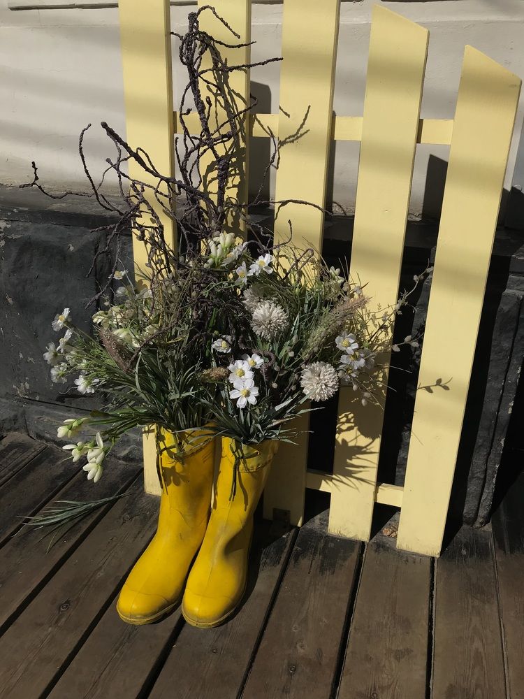 Photograph by Диана Янковская