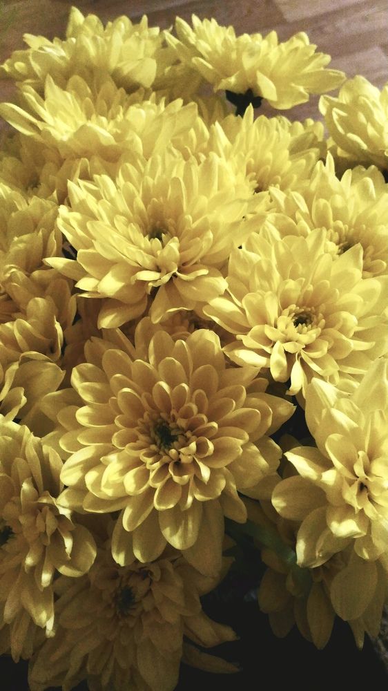 Photograph by Диана Янковская