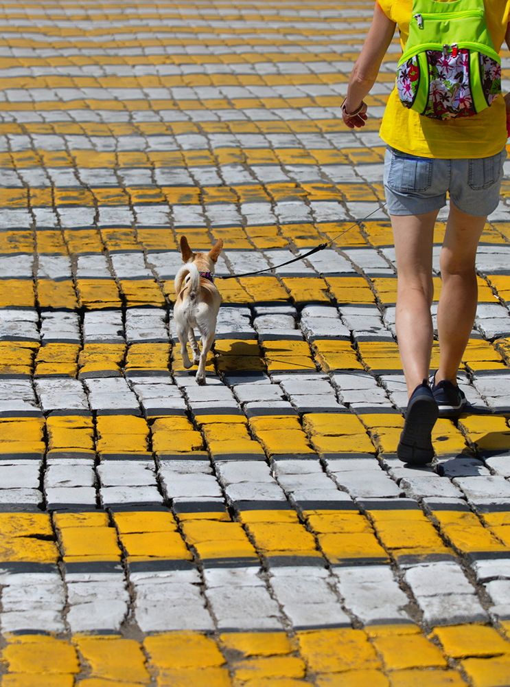 Photograph by Vera Trandina