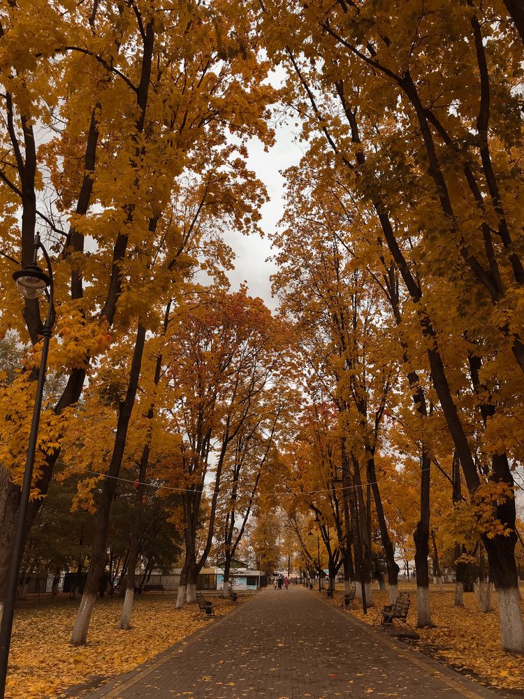 Photograph by Диана Янковская