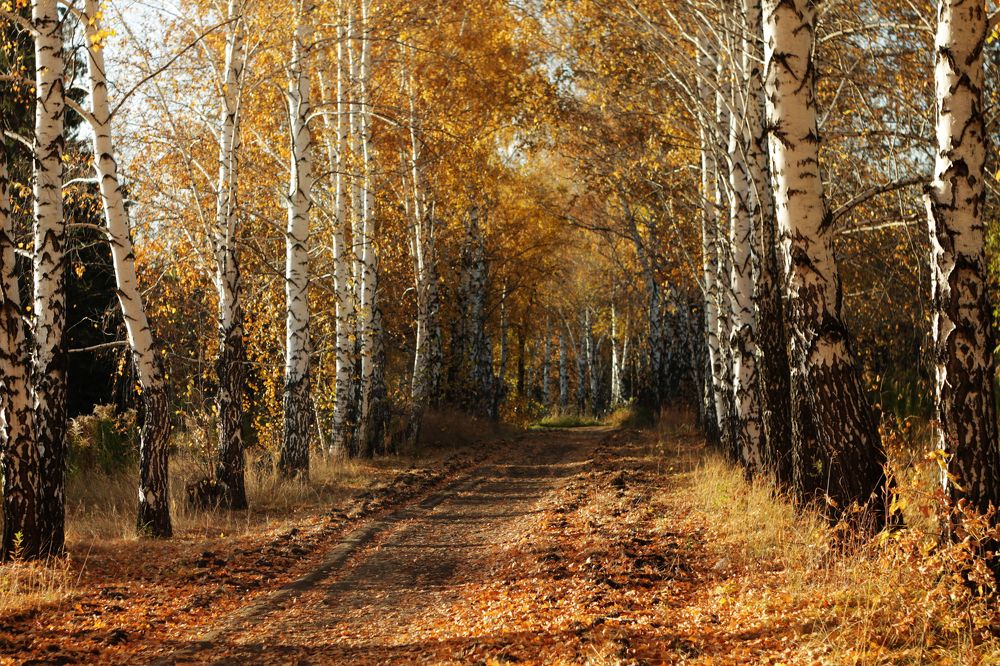 Photograph by Константин