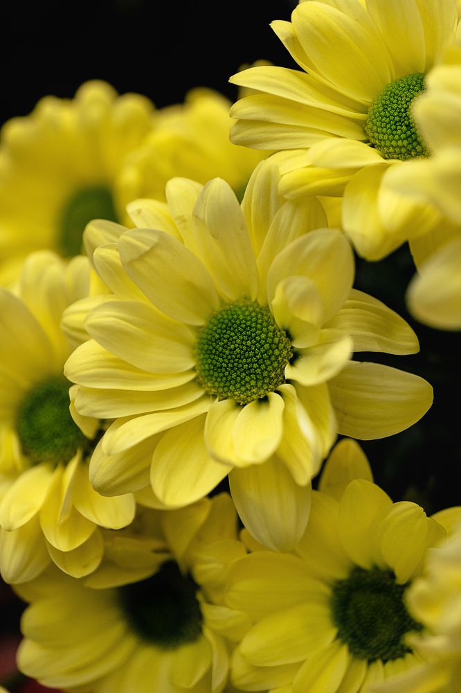 Photograph by Остапенко Алина