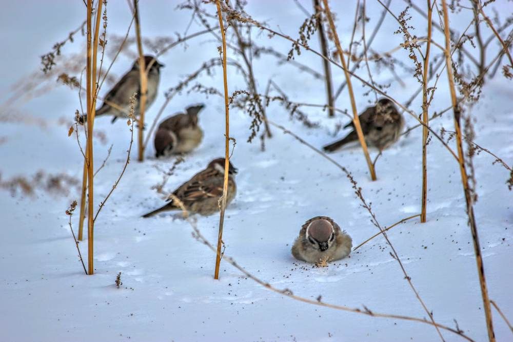 Photograph by Вадим Лебедев