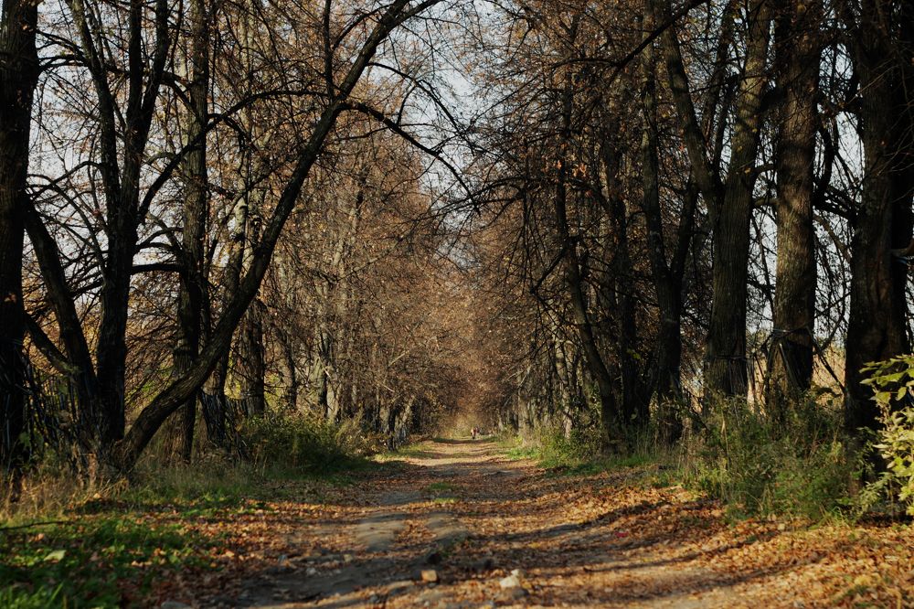 Photograph by Константин