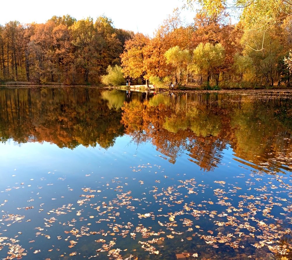 Photograph by Татьяна Кунц