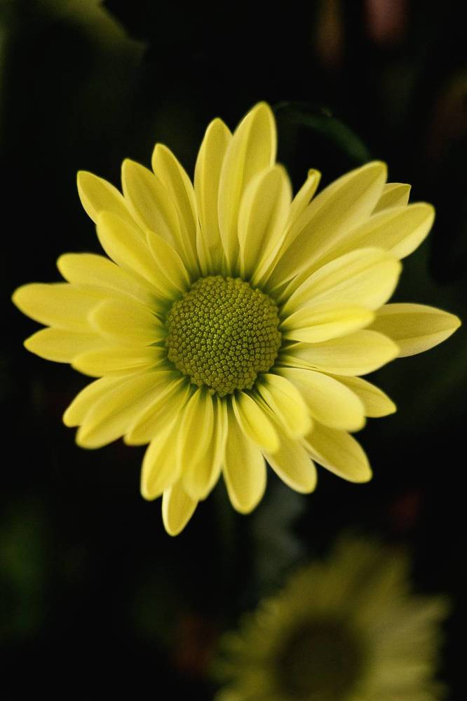 Photograph by Остапенко Алина