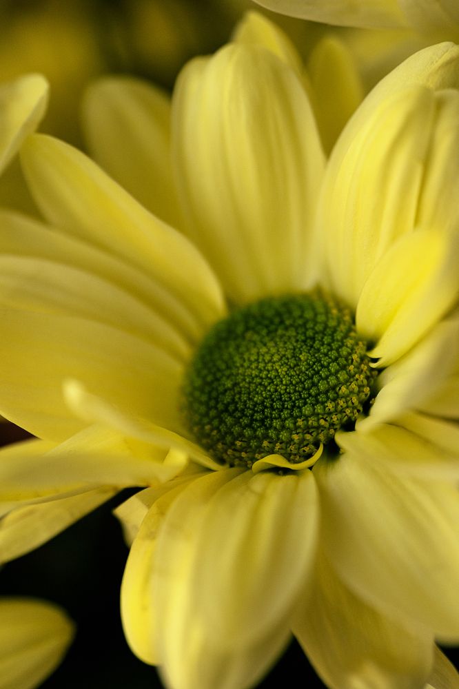 Photograph by Остапенко Алина