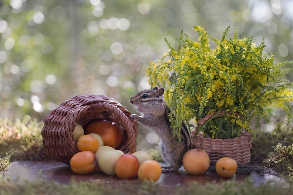 Photograph by Евгения Левина