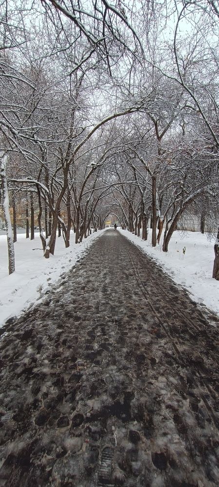 Photo #11140259
