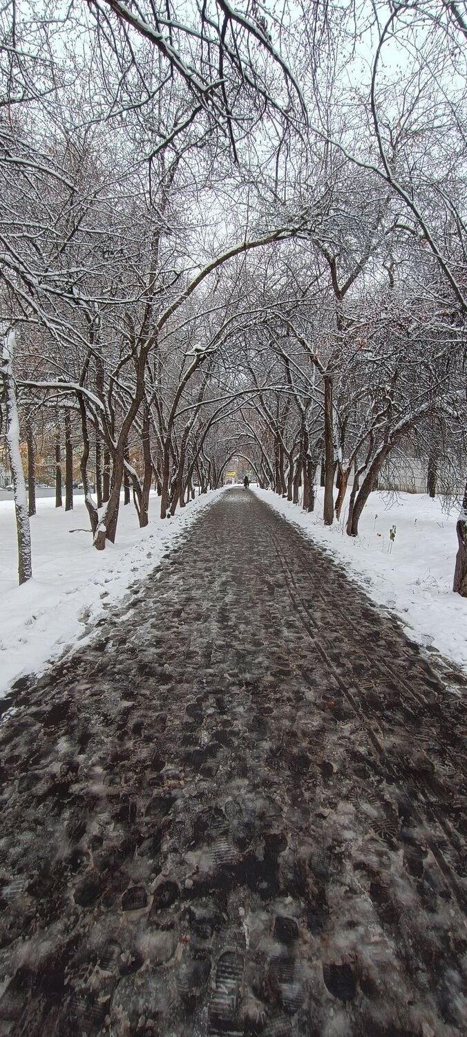 Photo #11140259