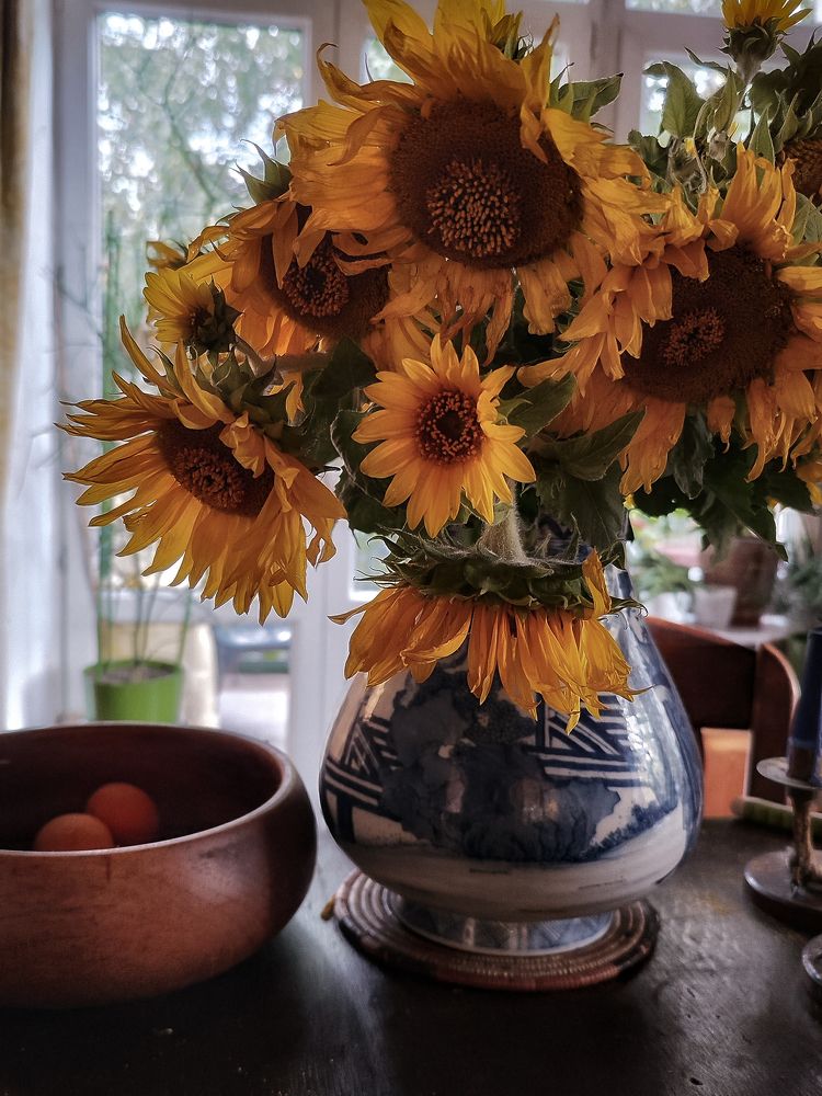 Photograph by Natalia Sopoćko