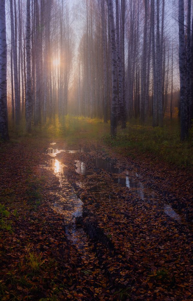 Photograph by Елена Рубинская