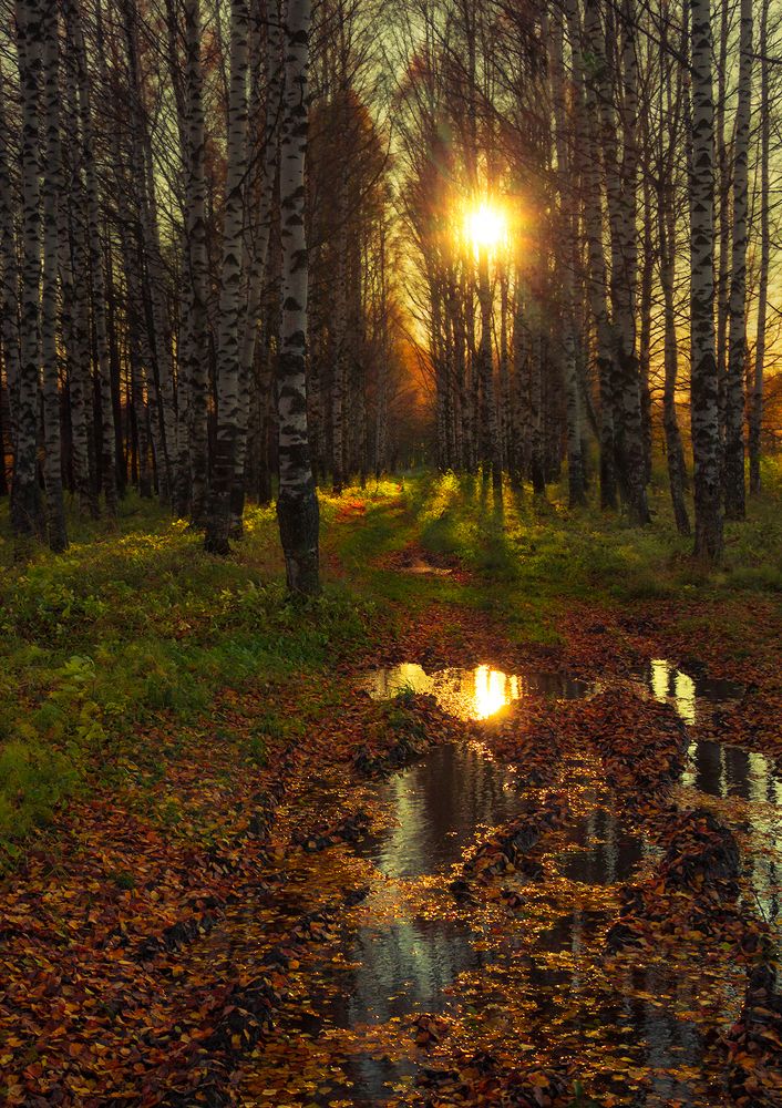 Photograph by Елена Рубинская